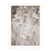 Poster Fleurs séchées dans des tons doux - Annie 