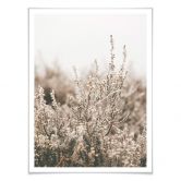 Plakat - Annie - Grass 