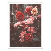 Poster Annie - Sommerblüten 