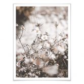 Poster Annie - Wildblumen 
