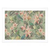 Poster Dschungel mit Papageien Grün - Bloomery Decor 