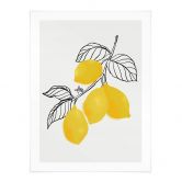 Poster Blursbyai - Illustration eines Zitronenzweiges 