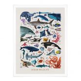 Poster Braun - Ocean Wildlife 