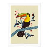 Poster Tropischer Vogel - Tukan - Braun 
