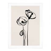 Poster Line Art Zwei Mohnblumen - Cats & Dotz 