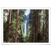 Poster Colombo - Wasserfall im Wald 