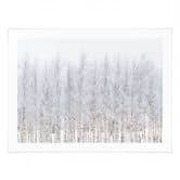 Poster Forêt de bouleaux en hiver - EMELIEmaria 