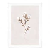 Poster Blumen Illustration - Vergissmeinnicht - Goed Blauw 