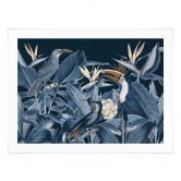 Poster Tropische Vögel im nächtlichen Wald - Haase 