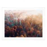 Poster Herbstwald im Nebel - Ioricon 
