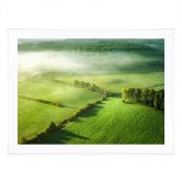 Poster Idyllische Felder im Nebel - Keller 