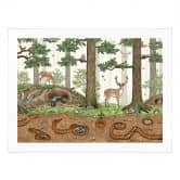 Poster fürs Kinderzimmer - Wimmelbild Waldtiere - Kikki Belle 