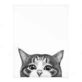 Poster Nieuwsgierige kat - Korenkova 