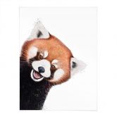 Poster panda rouge - Korenkova 