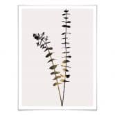 Poster Kubistika - Schwarz-Goldener Eukalyptus 