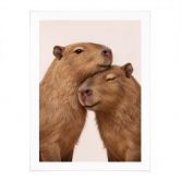 Poster Couple de capybaras en train de se câliner 