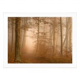 Poster Dunst und Licht im herbstlichen Wald - Maier 