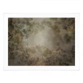 Poster Wald mit Blick in die Baumwipfel - Ms Tiff 