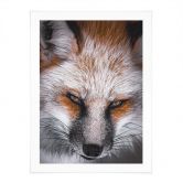 Poster Tierporträt Rotfuchs - Nagi 