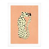 Poster Eleganter Gepard mit Sonnenbrille - Oltmanns 