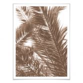 Poster Palmwedel 
