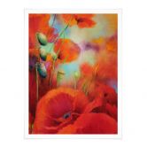 Poster Schmucker - Mohntraum 