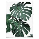 Plakat - Sisi & Seb - Monstera 