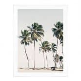 Poster Palmiers tropicaux sur la plage | L'ambiance des îles en été - Sisi & Seb 
