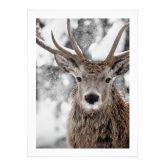 Poster Winter - Hirsch im Schneegestöber - Strigel 