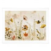 Poster Wilde Wiesenblumen im Sonnenlicht - Talen 