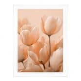 Poster Pfirsichfarbene Tulpen - Treechild 