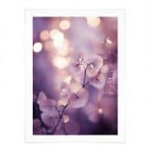 Poster Zarte Orchidee in Lila - Treechild 