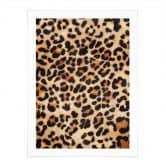 Plakat Vild leopard - Dyreprint - Tunaboylu 