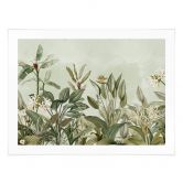 Poster Tropische plantkunde - UN Designs 
