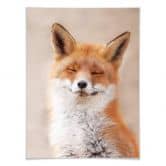 Poster van Duijn - Zufriedener Fuchs 