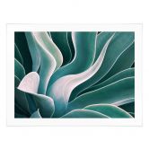 Poster Wechsler - Agave in de Ochtend 