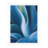 Poster Wechsler - Pflanzen Stillleben Agave 