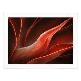 Poster Wechsler - Pflanzen Stillleben Agave im Herbst 