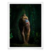 Poster Yunta - Im Dschungel 