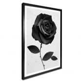 Poster Ireland - Fabric Rose - Stoffrose 