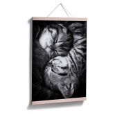 Poster Jancova - Sweet Kitten 