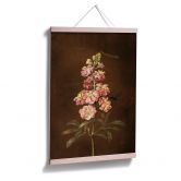 Poster Dietzsch -  Eine rosa Garten Levkkoje 