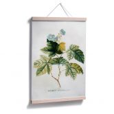 Poster Ehret - Rubus 