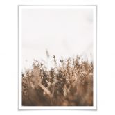 Poster Annie - Wiesengräser - Hochformat 