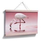 Poster Reindl - Pink Flamingo 