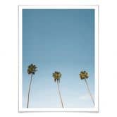 Poster Palm Trees 02 