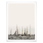 Poster Regatta 