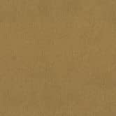 Rasch Vliestapete, Unitapete African Queen III mattgold 