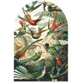 Wandtattoo Rundbogen Wandpaneel Kolibris - Haeckel - breit 