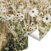 Fleurs Papier peint photo Prairie d'été avec camomille - Annie - Rond - papier peint intissé/papier peint intissé autocollant 